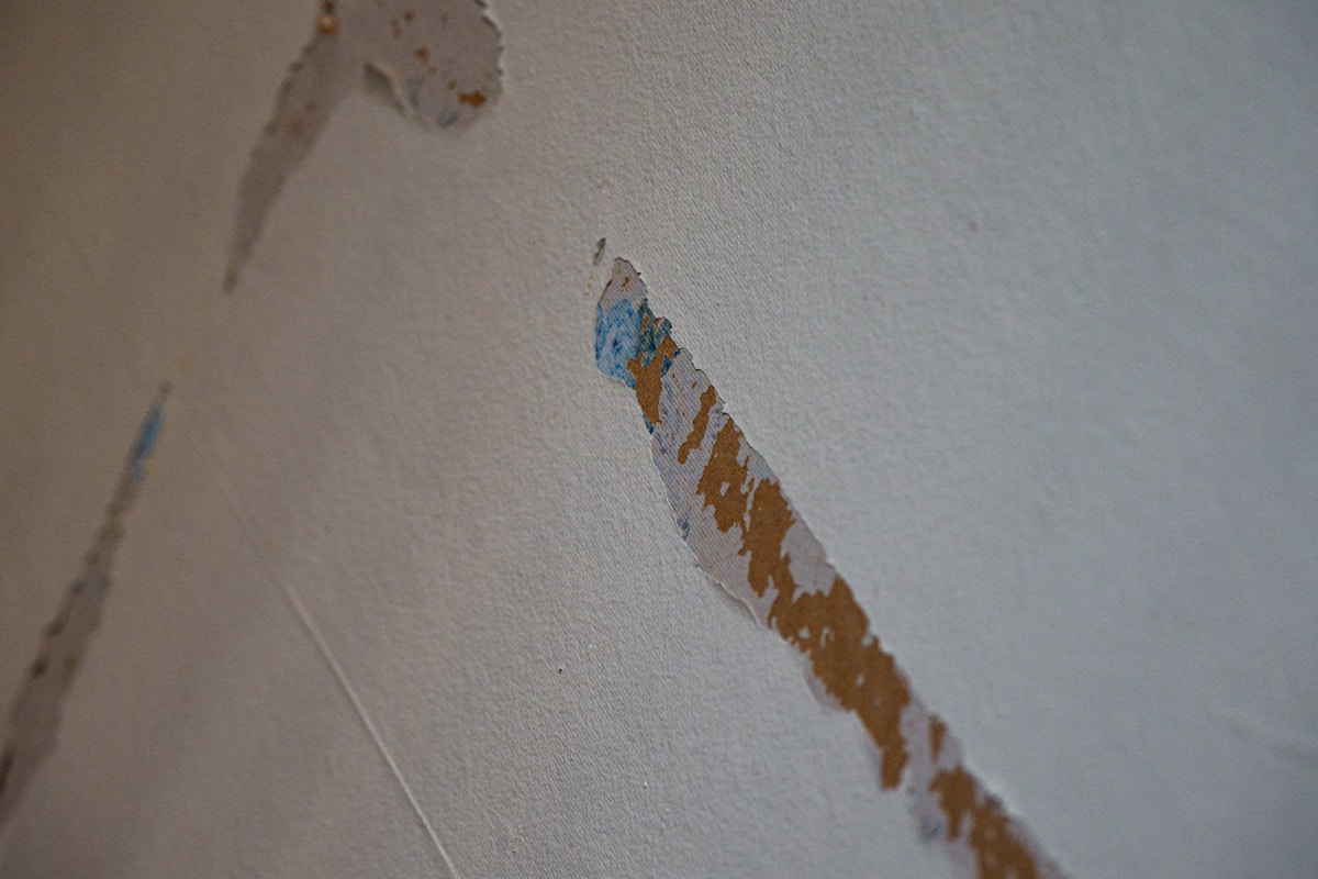 Basement Water Removal service in San Ramon, CA